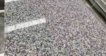 雅安 芙蓉白光面