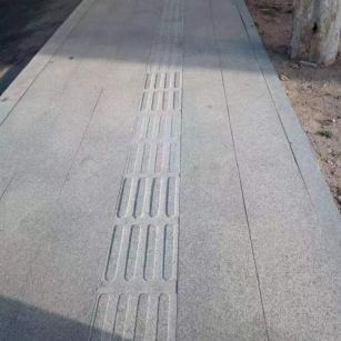 雅安 芝麻白盲道盲点