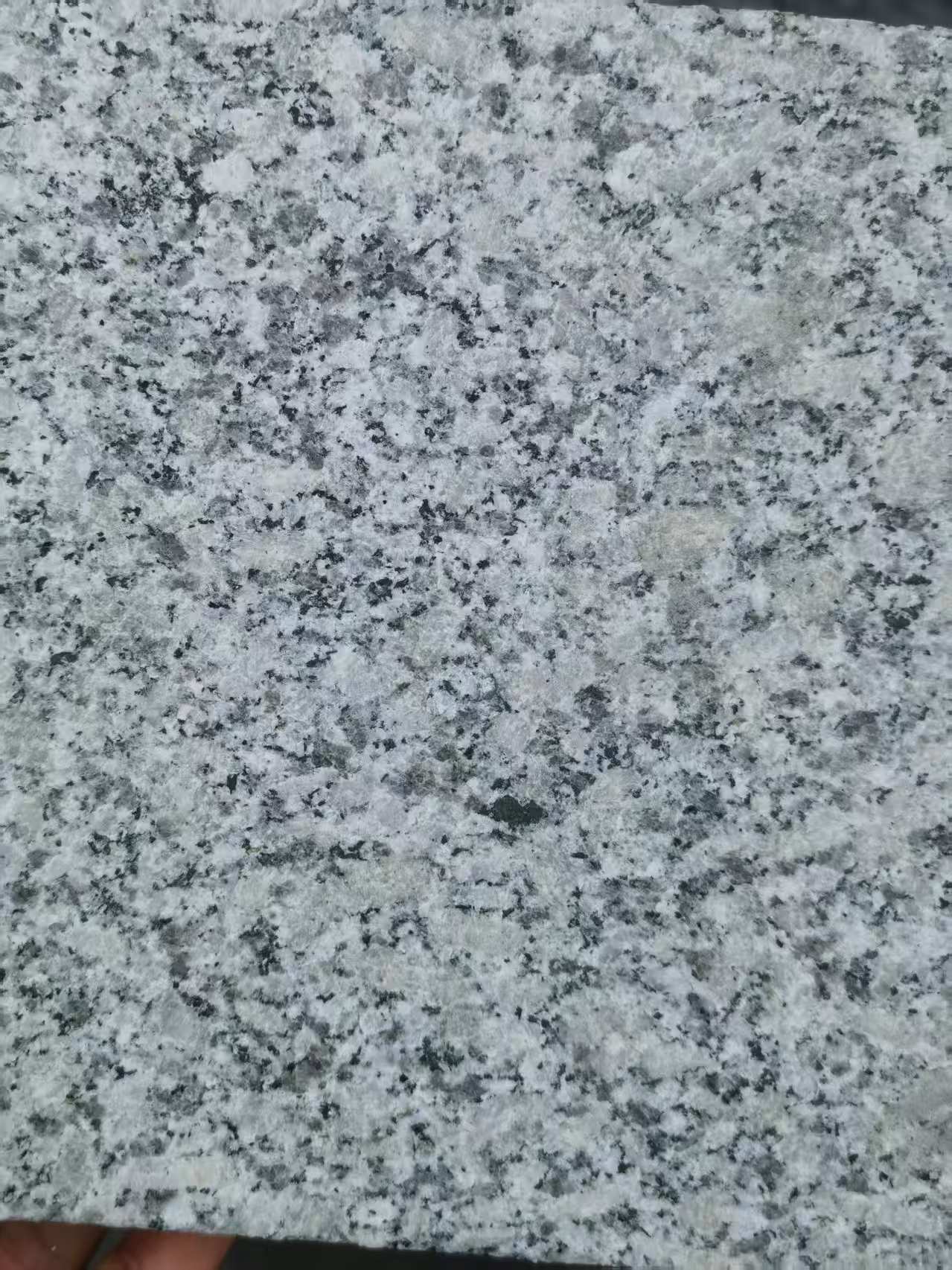 雅安 芙蓉白火烧面
