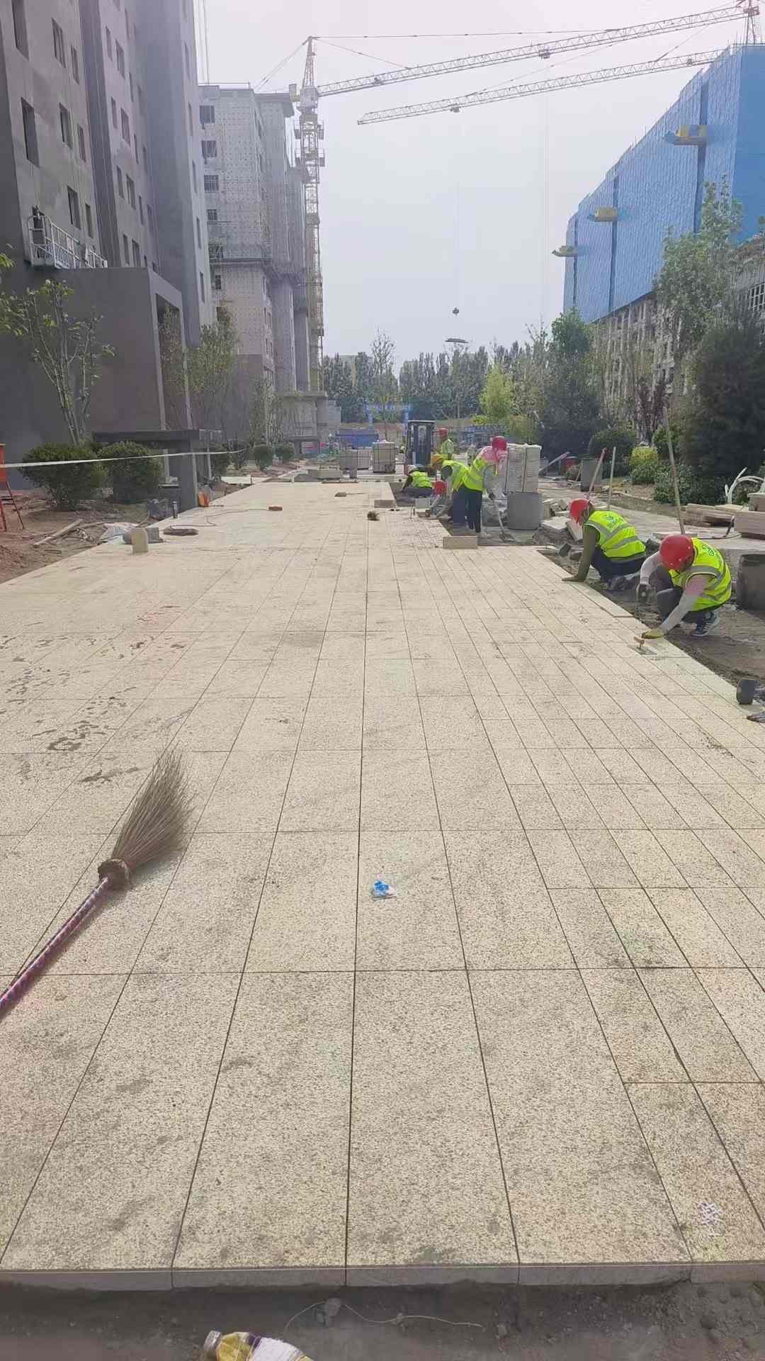 雅安黄金麻荔枝面地铺案例