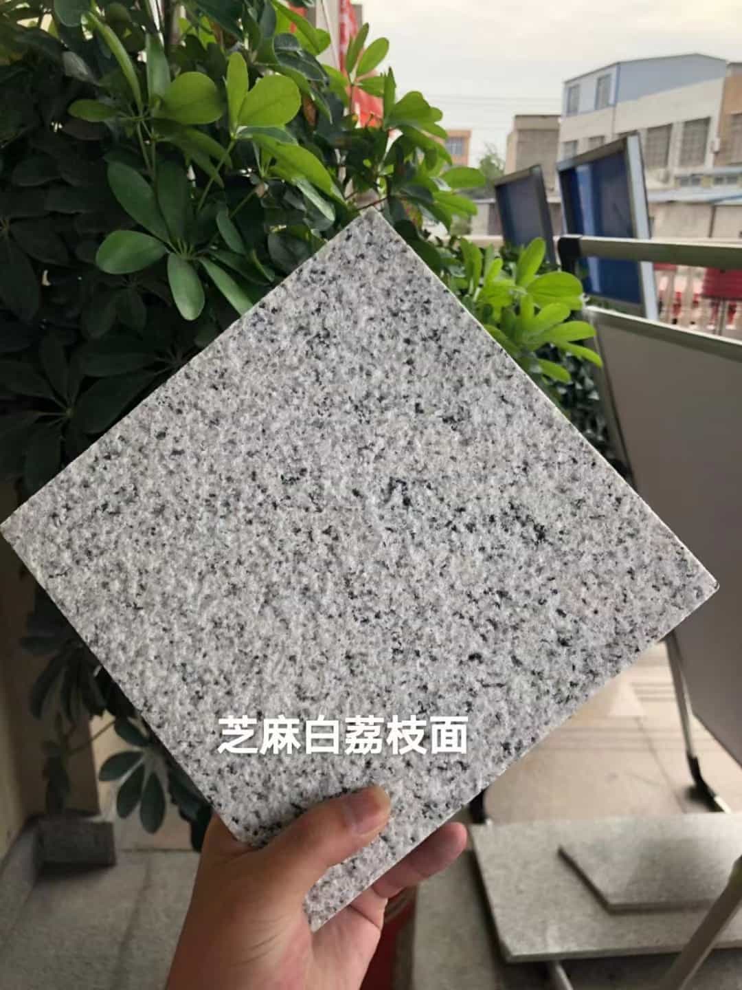 雅安 芝麻白荔枝面干挂
