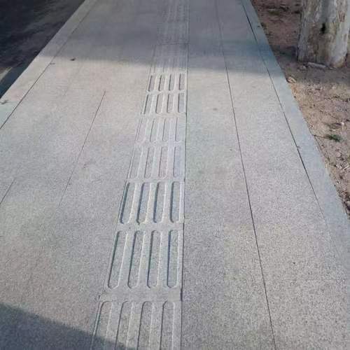 雅安 芝麻白盲道盲点